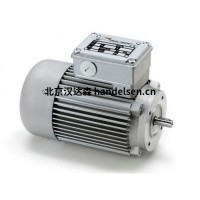 汉达森一站式供应电机ACF系列-mini motor