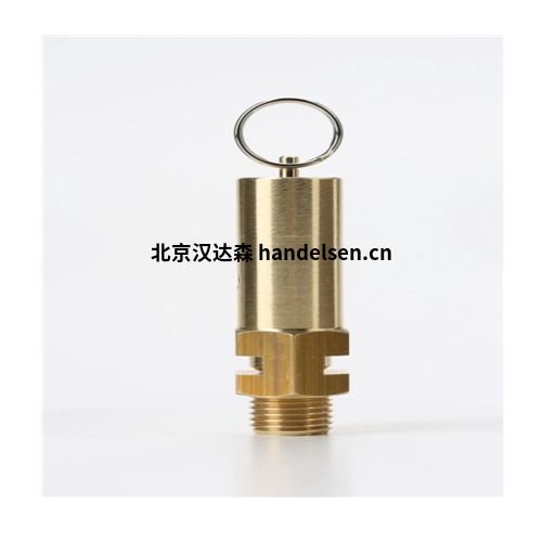 带排水口的安全阀Z10