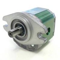 Vivoil液压泵 马达X1P2041DBBA1010 型特征描述