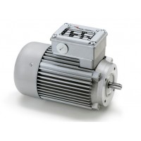 意大利MiniMotor无刷电机DBS-S1的应用特点